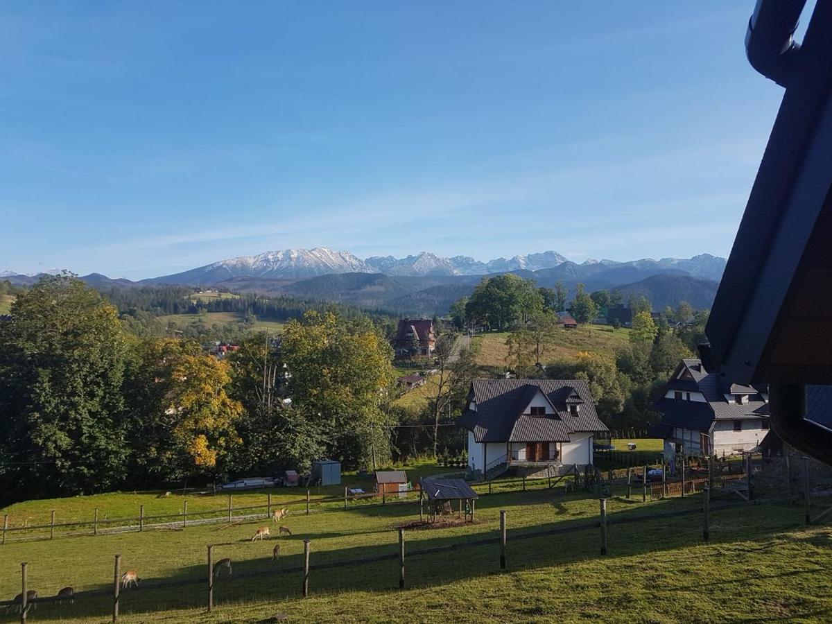 Apartamenty Gorska Mila Apartzakop Zakopane Buitenkant foto